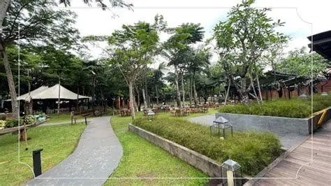 Area Padang Rumput Hutan Kota GBK Fasilitas area rumput luas di Hutan Kota GBK
