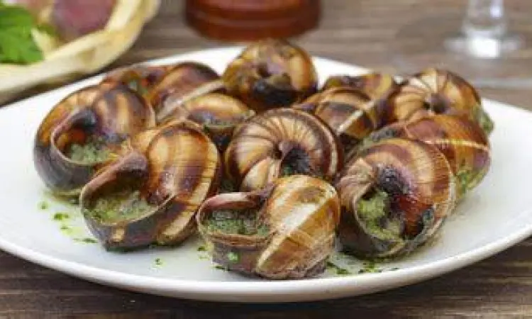 Persiapan Escargot Tradisional Proses penyiapan escargot tradisional