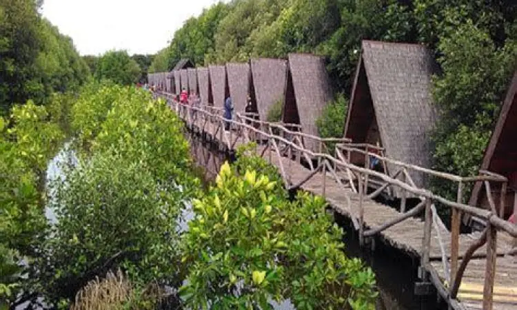 Jembatan kayu di hutan mangrove Pantai Alam Indah