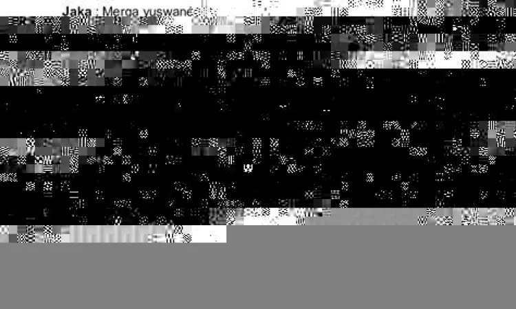 Contoh percakapan sopan kromo inggil dalam belajar bahasa jawa