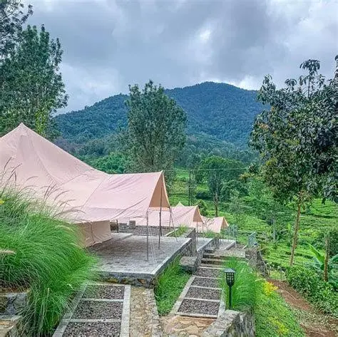 Glamping Gunung Mas Area penginapan glamping di Gunung Mas Bogor
