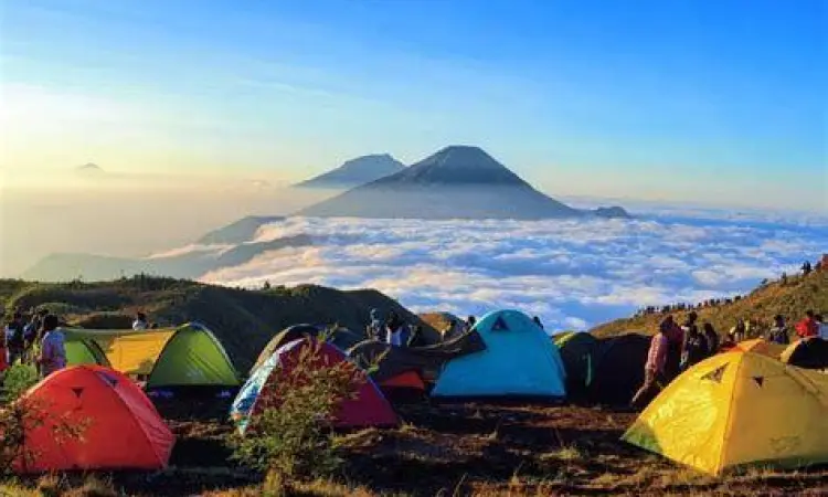 Kabut pagi yang menyelimuti dataran tinggi Dieng