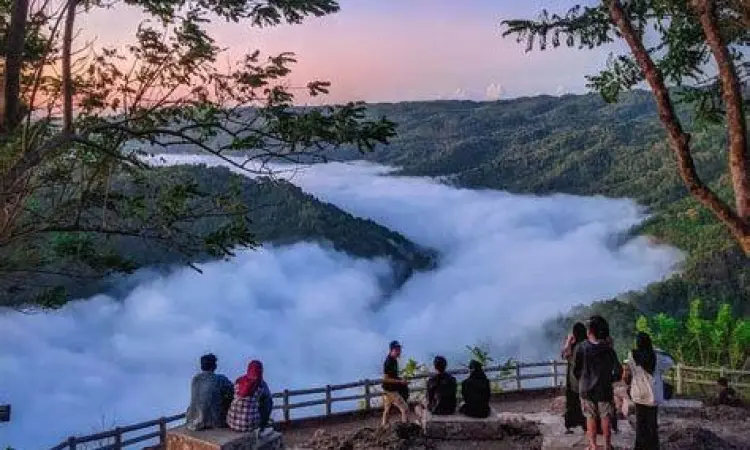 Kabut tebal di lembah sungai Oya Mangunan