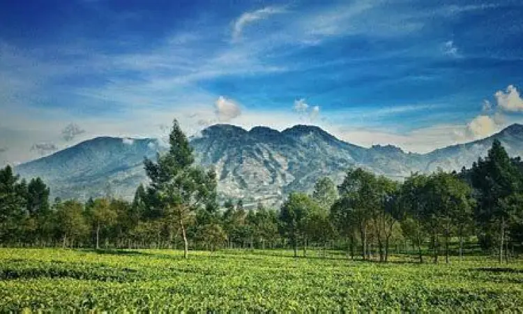 Pemandangan alam Parahyangan Jawa Barat