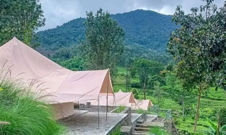 fasilitas glamping mewah di agrowisata gunung mas