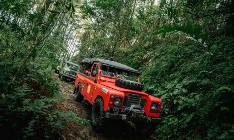 Offroad Gunung Mas mobil offroad melintasi kebun teh gunung mas