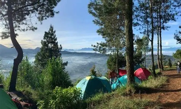 Camping Ground Lembang Area perkemahan yang dikelilingi pohon pinus di Gunung Putri Lembang
