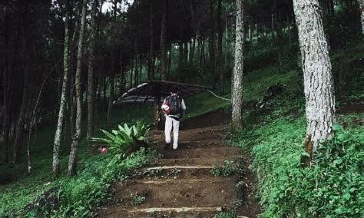 Rute Gunung Putri Akses jalanan menanjak menuju objek wisata Gunung Putri Lembang