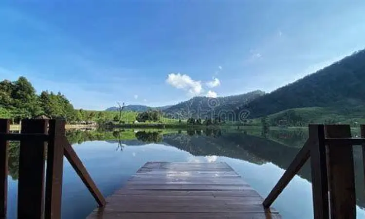 Suasana berkabut di Telaga Saat Puncak