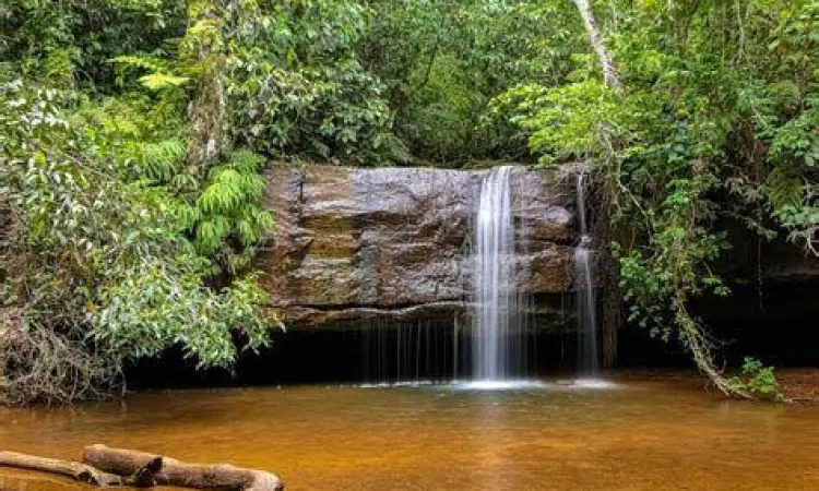 Landscape Yeh Pikat Waterfall Keindahan aliran air di Yeh Pikat Waterfall Klungkung