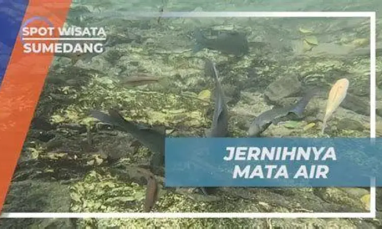 Kejernihan Mata Air Cikandung Kejernihan air di kolam alami Cikandung