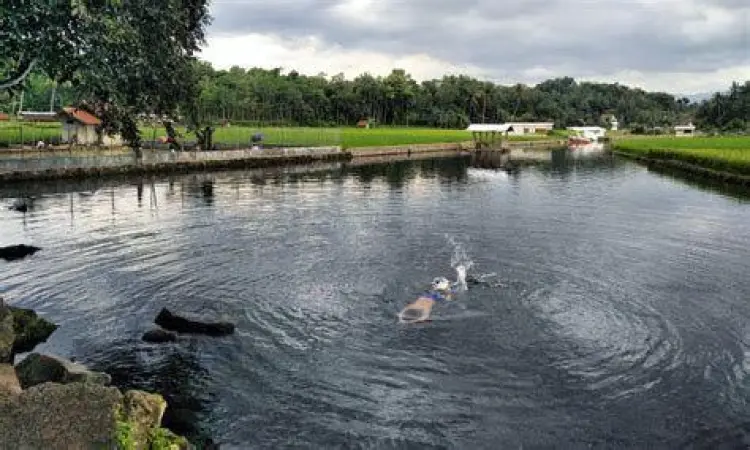 Fasilitas Cikandung Fasilitas dan area sekitar Mata Air Cikandung