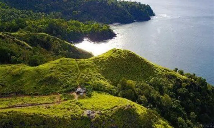 Trekking di Bukit Pulisan Wisatawan melakukan trekking di Bukit Savana Pulisan