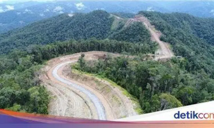 Pembangunan jalan trans papua di tengah hutan