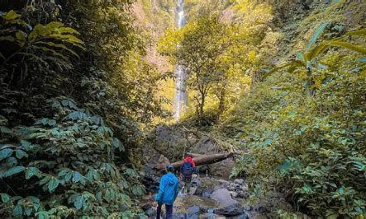 Akses Jalan Tarunggang Jalur akses menuju Air Terjun Tarunggang