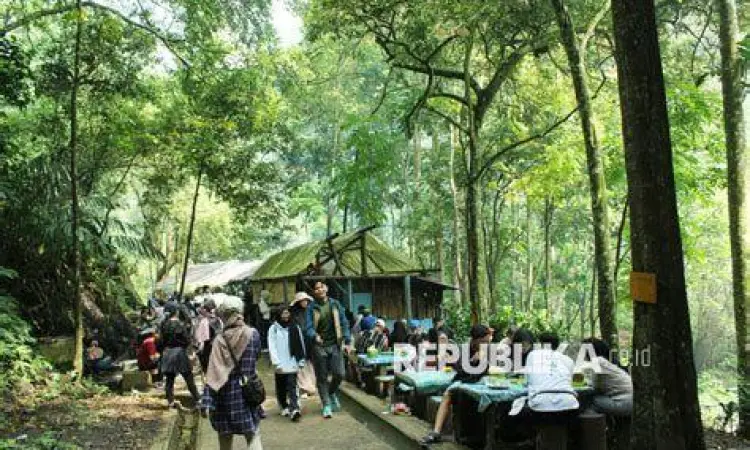 Akses Menuju Air Terjun Jalur pendakian menuju air terjun di tengah hutan