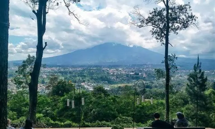 Alam Pasir Angin Pemandangan alam hijau di Pasir Angin Megamendung