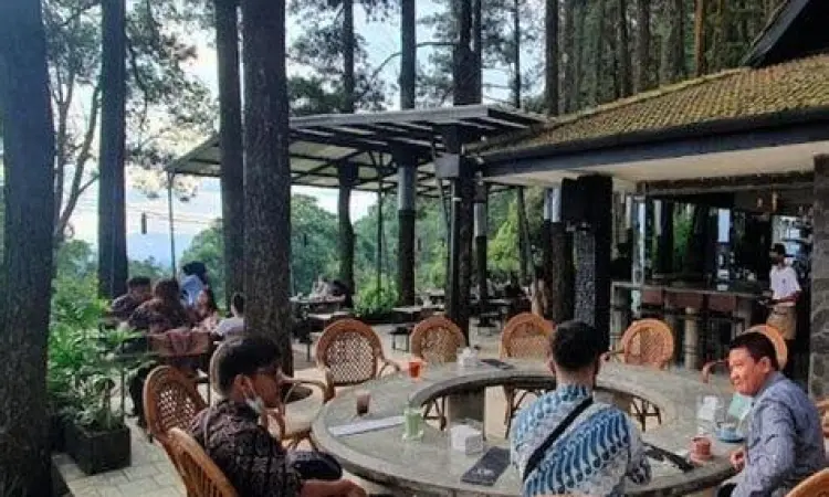 Kuliner Pasir Angin Kafe kekinian dengan pemandangan pinus di Pasir Angin