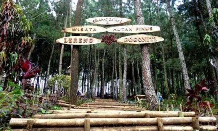 Gerbang masuk desa wisata karanganyar blitar