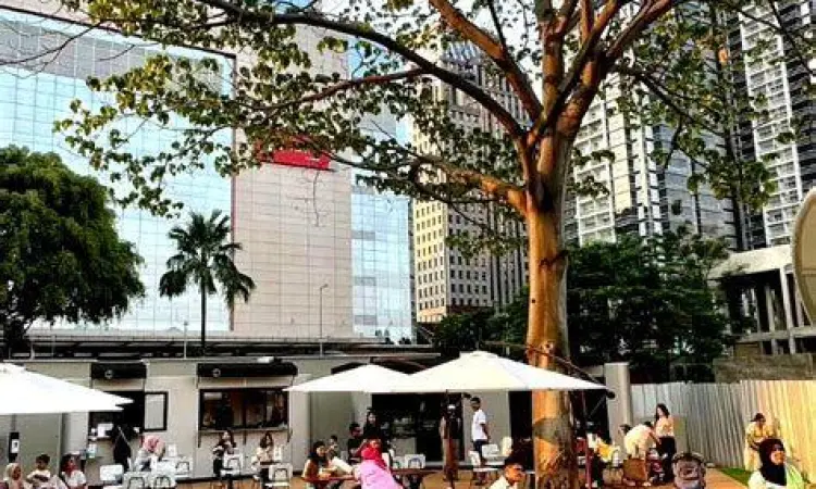 Pemandangan malam hari Habitat Park SCBD dengan lampu taman