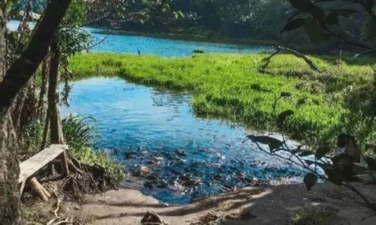 Pemandangan Telaga Ranjeng Telaga Ranjeng Brebes dengan latar hutan pinus