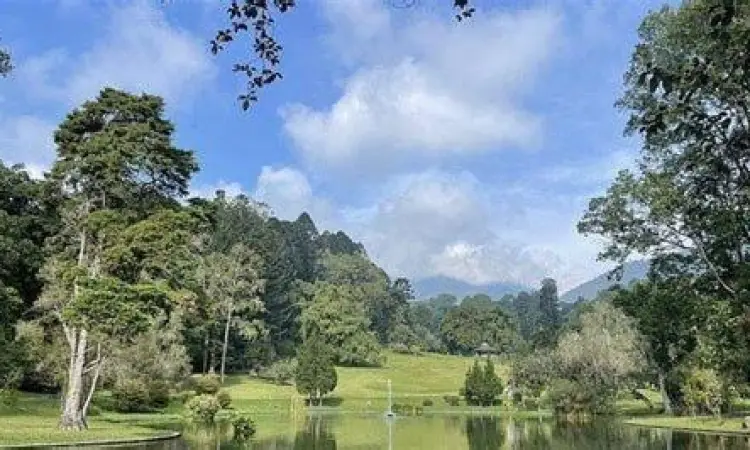 Liburan Keluarga di Cibodas Keluarga menikmati waktu di area Kebun Raya Cibodas
