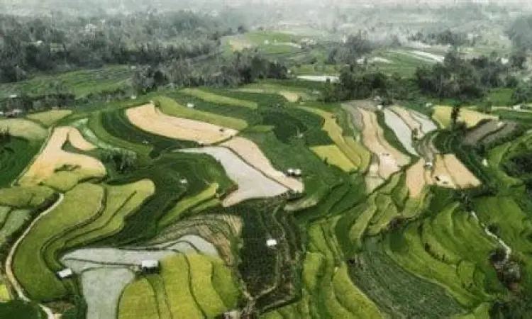 Sawah berundak yang indah di sekitar Pariangan