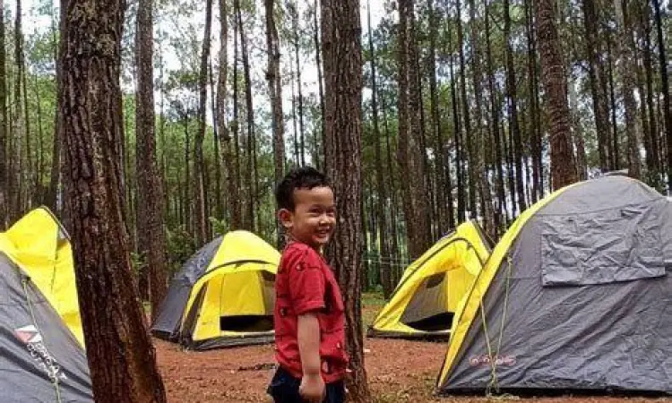 Area camping ground di hutan pinus Bantul