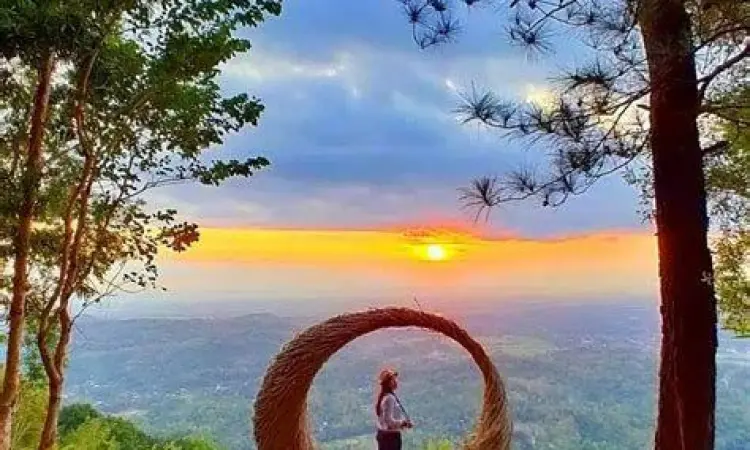 Spot Foto Pinus Becici Spot foto estetik di Puncak Pinus Becici