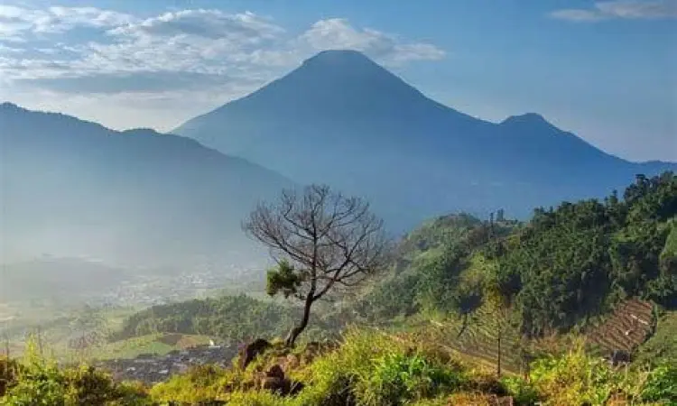 Pemandangan bukit hijau di sepanjang rute Kejajar Dieng