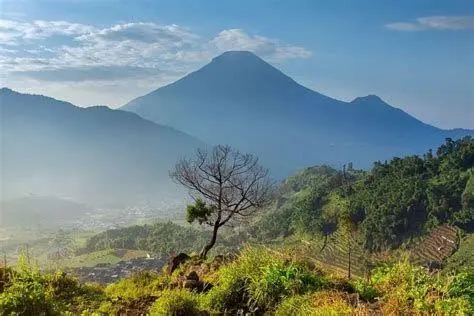 Bukit Hijau Kejajar Pemandangan bukit hijau di sepanjang rute Kejajar Dieng