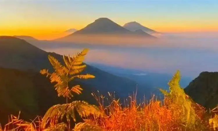 Pemandangan Gunung Sindoro dari jalan raya Dieng