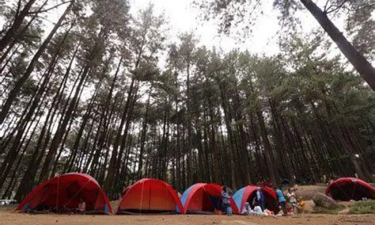 Camping di Gunung Pancar area camping ground gunung pancar bogor