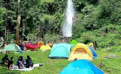 Camping di Curug Cijalu Suasana perkemahan di hutan pinus dekat Curug Cijalu