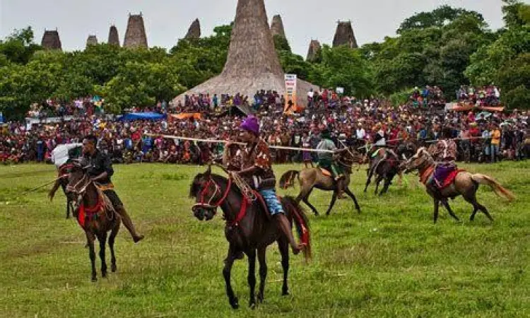 Ketangkasan berkuda dalam upacara adat Pasola di Sumba