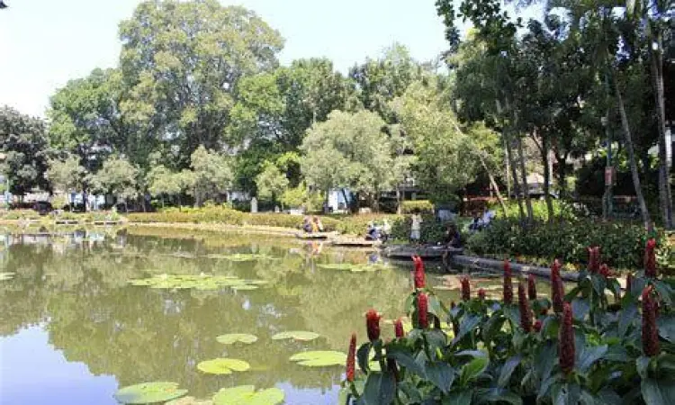 Danau buatan di tengah Taman Situ Lembang yang tenang