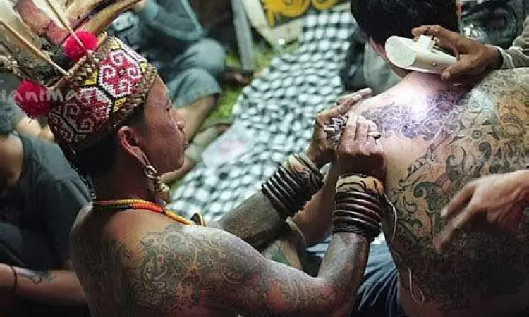 Seni Tato Dayak Motif tato tradisional suku Dayak