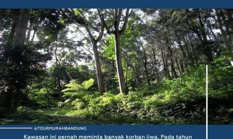 Hutan tropis Gunung Salak yang lebat