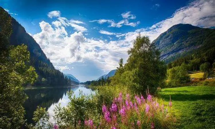 Lanskap musim panas di Bukit Tobias Norwegia