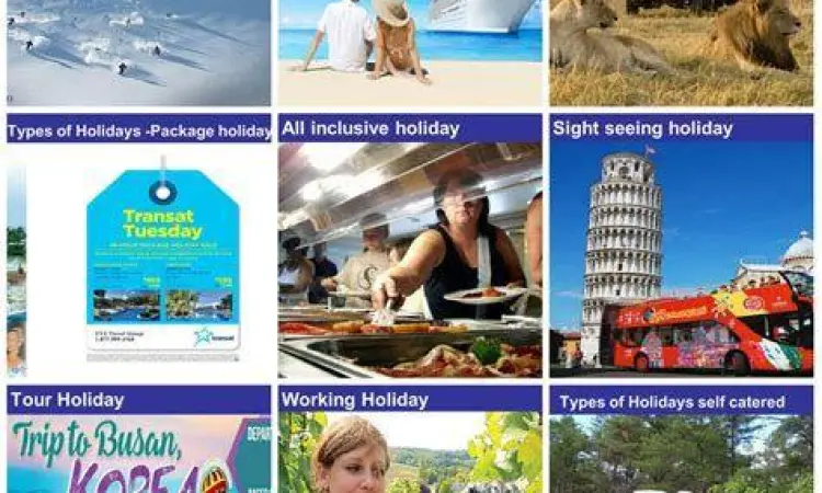 Infografis perbedaan jenis holiday dan vacation