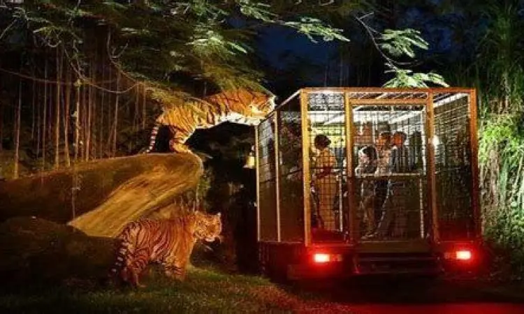 Suasana night safari di Taman Safari Bogor