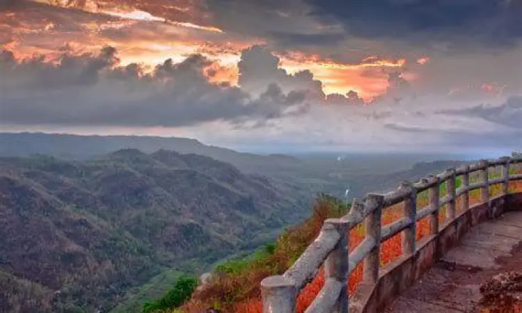 Pemandangan sunrise dan kabut di Kebun Buah Mangunan Yogyakarta