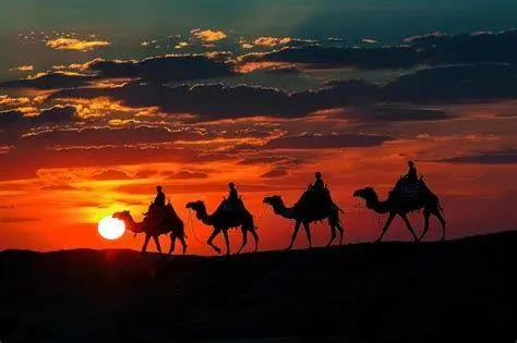 Kafilah Unta Kafilah unta di gurun pasir