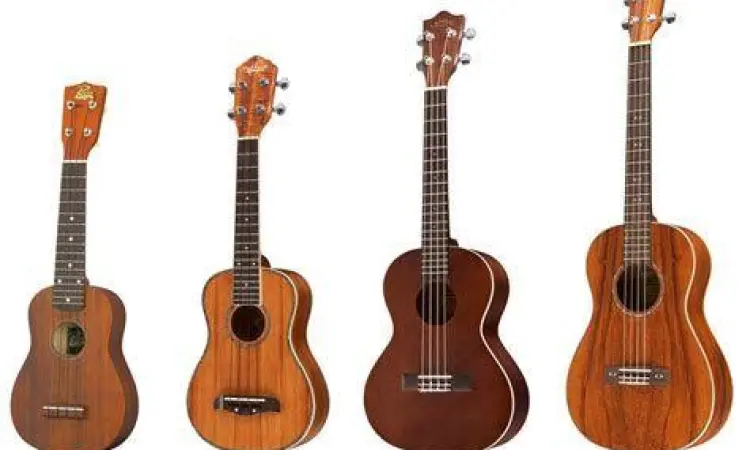 Jenis Ukulele untuk Belajar Perbandingan jenis ukulele untuk pemula