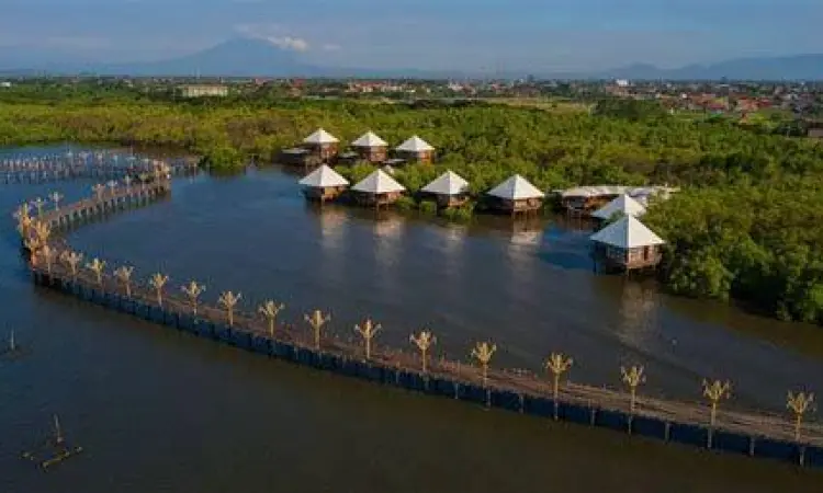 Jalur jembatan kayu di hutan mangrove BJBR yang menuju area Gembok Cinta