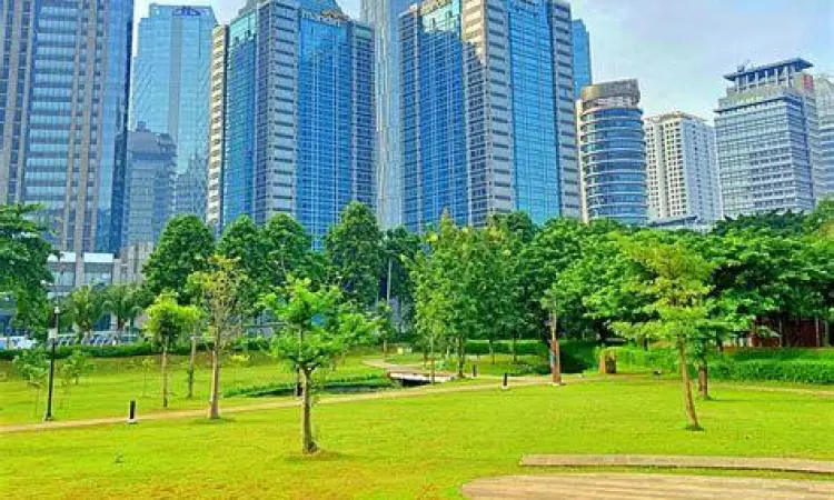 Pemandangan Hutan Kota GBK