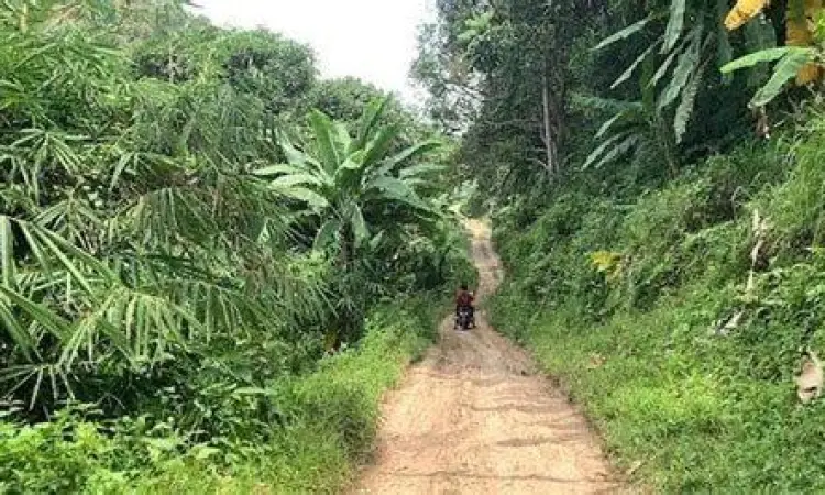 Akses Jalan Rumpin Kondisi jalanan menuju Rumpin Bogor