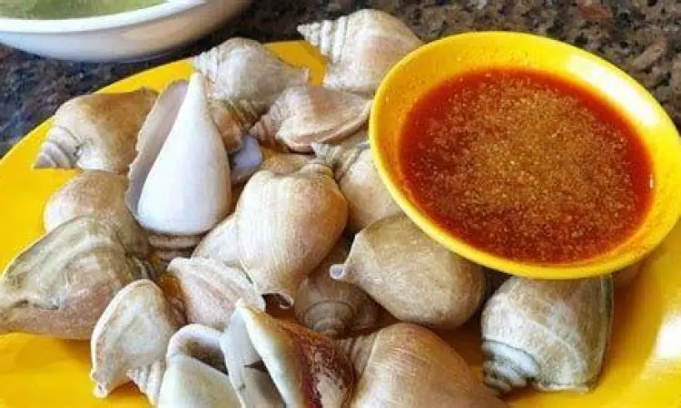 Hidangan gonggong kuliner khas pulau panjang batam