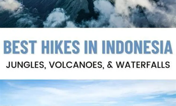 Liburan Kelompok dengan Share Cost Grup pendaki melakukan perjalanan dengan sistem share cost