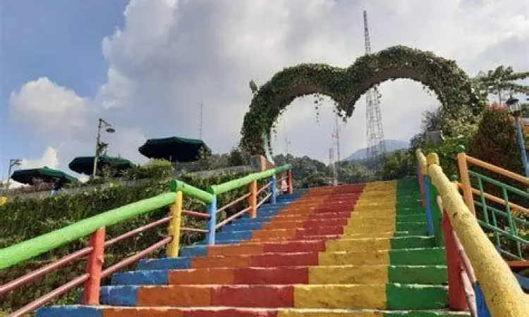 spot foto sayap kupu-kupu kampung salaka